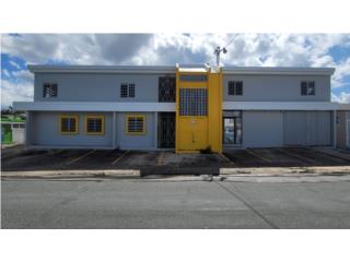 Galeria