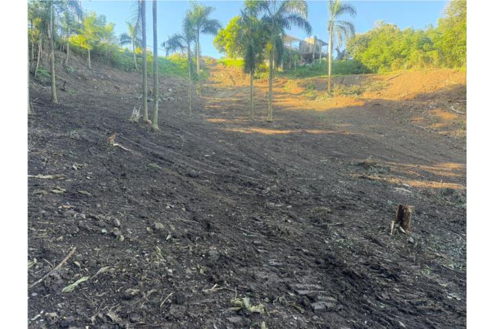 Exceptional Development Opportunity in Rincón, Puerto Rico.