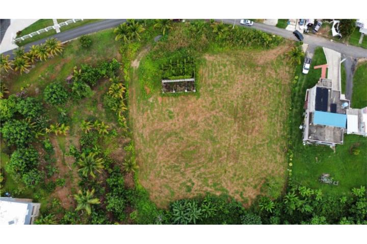 Sonador Puerto Rico San Sebastián