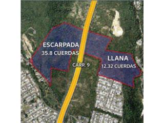 FOR SALE 48.14 Cuerdas of Land in Canas War