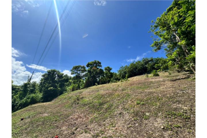 SOLAR SEMILLANO DISPONIBLE PARA LA VENTA EN $49,900 CON UNA CABIDA DE 2,453m2.