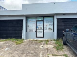 Galeria
