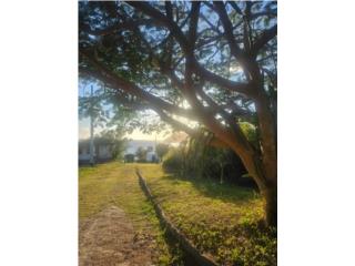 Bo. Emajaguas, Maunabo 