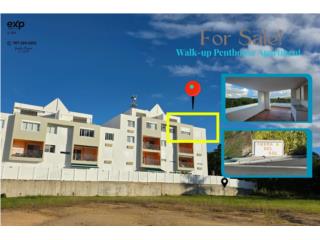 Hermoso Penthouse Walk-Up en Venta