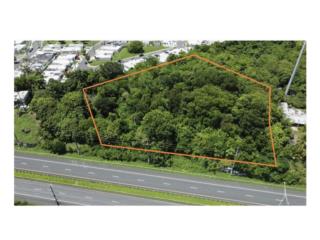 FINCA DE 3.941 CUERDAS EN PR-3 RIO GRANDE