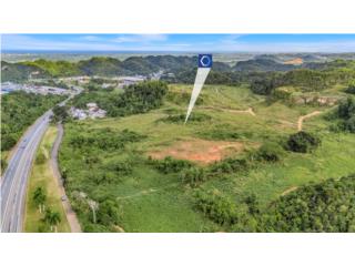 73 Developable Acres in Dorado - For Sale