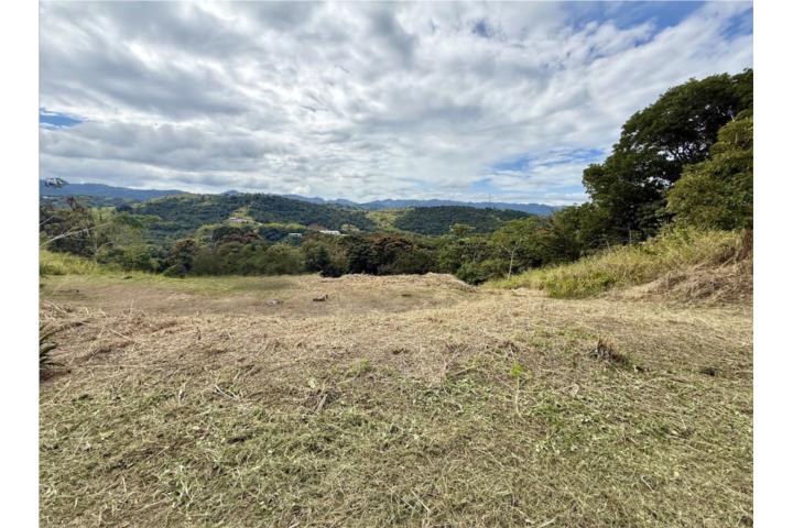 TERRENO EN VENTA – $72,000 Campo Bello, Cidra, PR Hermoso terreno de 1,432.