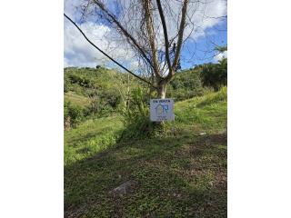 EXCELENTE OPORTUNIDAD PARA INVERSI�N!!