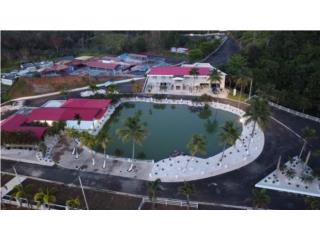 HERMOSA HACIENDA EN TOA ALTA !