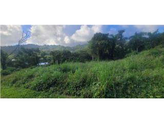Solar en Bo Talante, Maunabo 