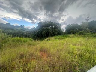 Finca en Barrio Ángeles de Utuado