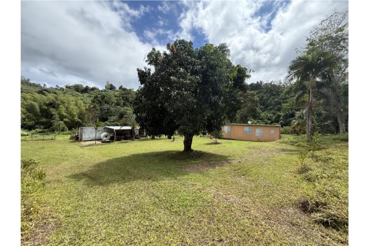 Si lo que buscas es una Finca Privada en la región central con lo más preciado cuerpos de agua, ofre