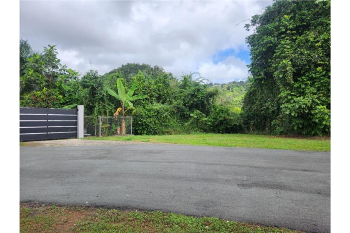 Hermosa Finca en exclusiva zona de urb La Esmeralda.