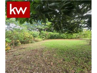 BO. FRONT�N, FINCA EN CIALES