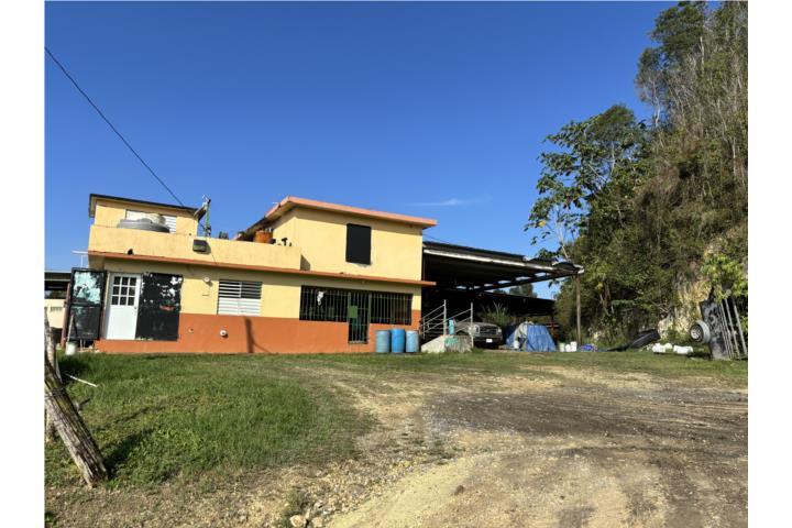 16 Fotos