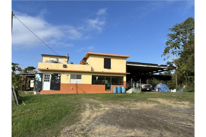 16 Fotos