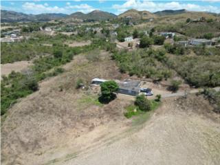 Terreno en Los Llanos, 129 acres, $1.995M