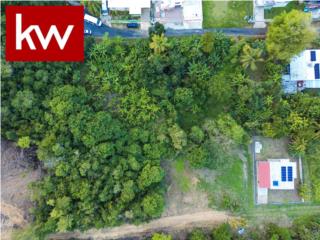 BO. FACTOR, TERRENO EN ARECIBO