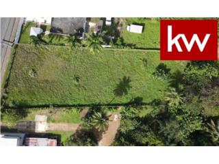 BO. EL VOLC�N, TERRENO EN BAYAM�N