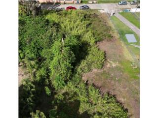 Solar de 2,290 m� en la Urb. Toita Hills