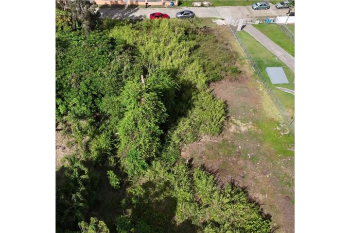 Toita Puerto Rico Cayey