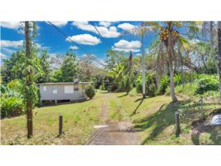 14 Acre Lagoon View Estate 