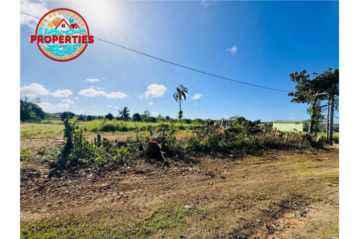 Influencia Comercial/Mixto, A menos de 1 milla de Home Depot.