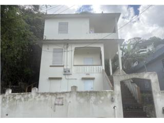 Calle Marcial Bosch Cayey P.R 