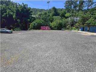 LOTE 1.16 CUERDAS C-I NARANJITO