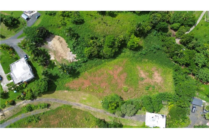 Amplio Terreno de 5,384 m² en Bo.