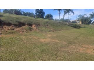 A rare permit-ready lot inthe heart of Aguada