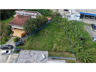 Solar en Venta- Urb. El Ramanso, Cayey