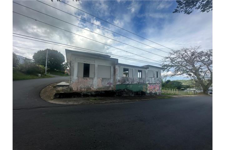 Padilla Puerto Rico Corozal