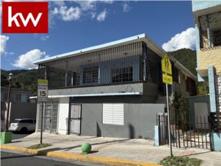SECT. PASARELL, PROPIEDAD EN COMERIO