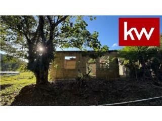 SECT. LOS CORREAS, CASA EN ARECIBO