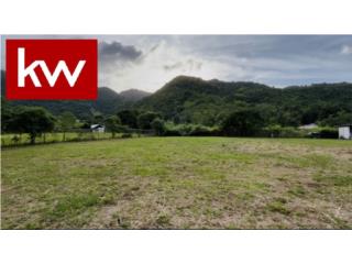 BO. MATON ABAJO, TERRENO EN CAYEY