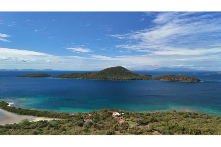 Flamenco Puerto Rico Culebra