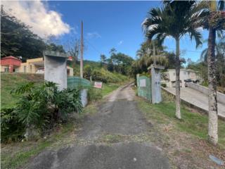 Barrio Beatriz Finca de 2.42 cuerdas