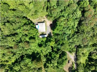 Priced to Sale!!! - 90 Acres in San Lorenzo, PR