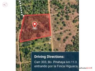 La Pitahaya Carr. 303 Km. 11.3