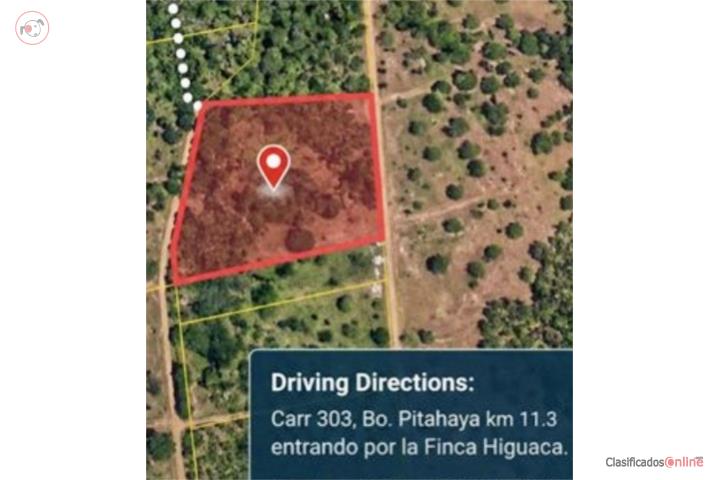 La Pitahaya Carr. 303 Km. 11.3