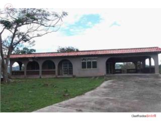 Bo. Mamey II
