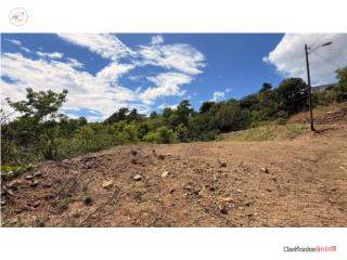 A thousand square meters of tranquili...