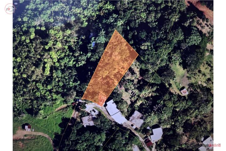 Barrio Botijas 2, Orocovis
