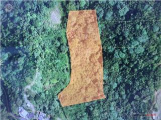 FINCA - BARRIO BAUTA ARRIBA, OROCOVIS