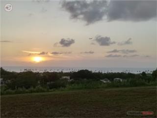 Proyecto de solares vista al Desecheo