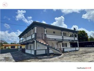 BO MONTONES CARR 917 | LAS PIEDRAS