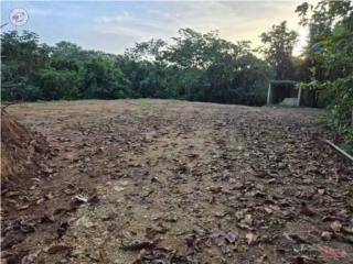 Finca de 5 cuerdas de terreno