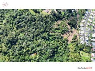 FINCA EN CIDRA