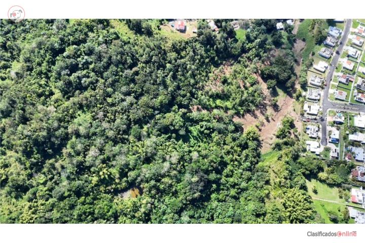 FINCA EN CIDRA